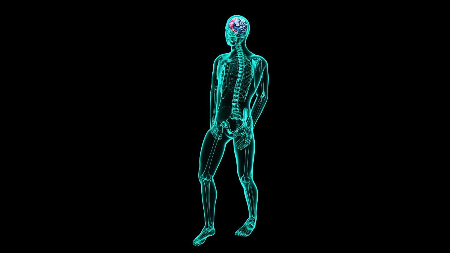 x-ray of walking human