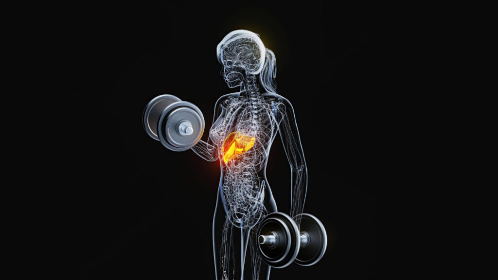 woman lifting weights