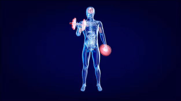 X-ray of human exercising