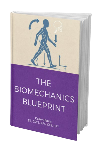 biomechanics blueprint ebook