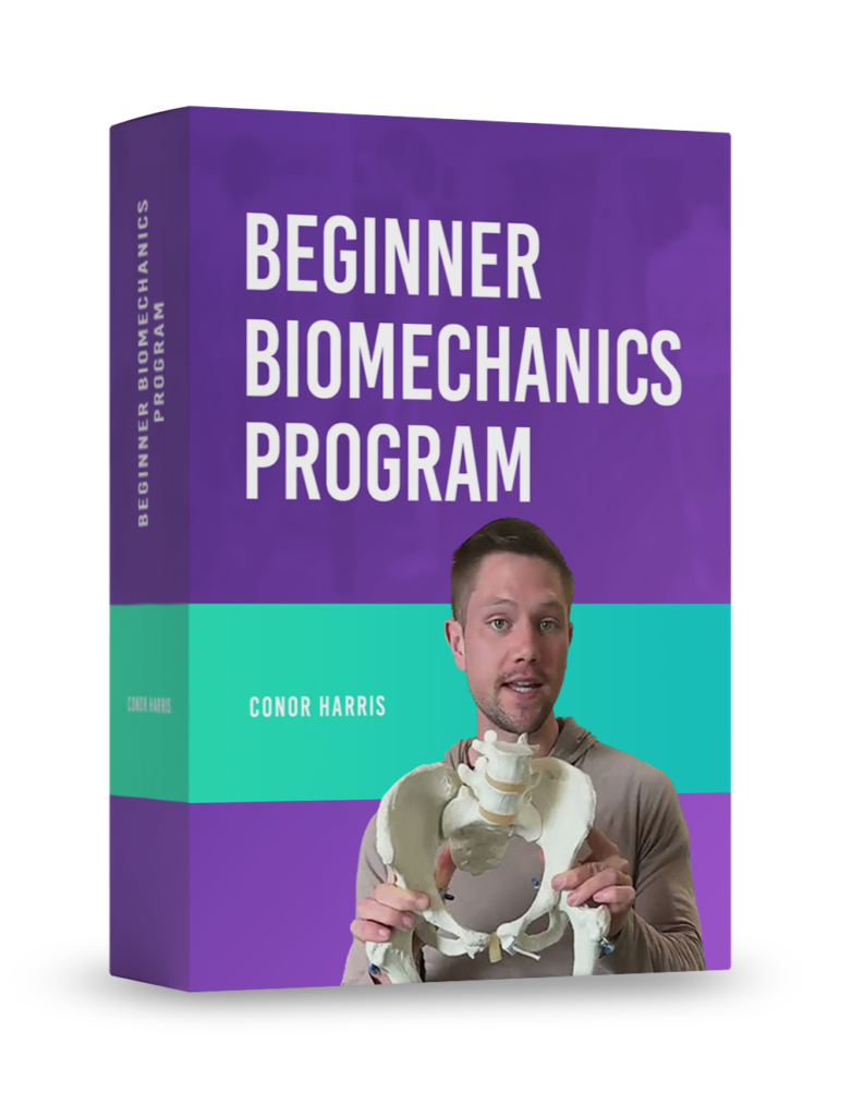 beginner biomechanics course