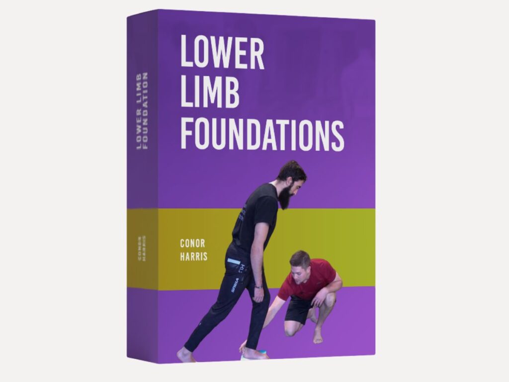 Lower Limbs ebook