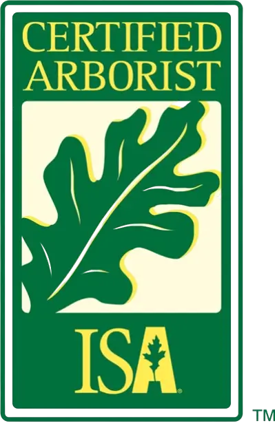 ISA logo