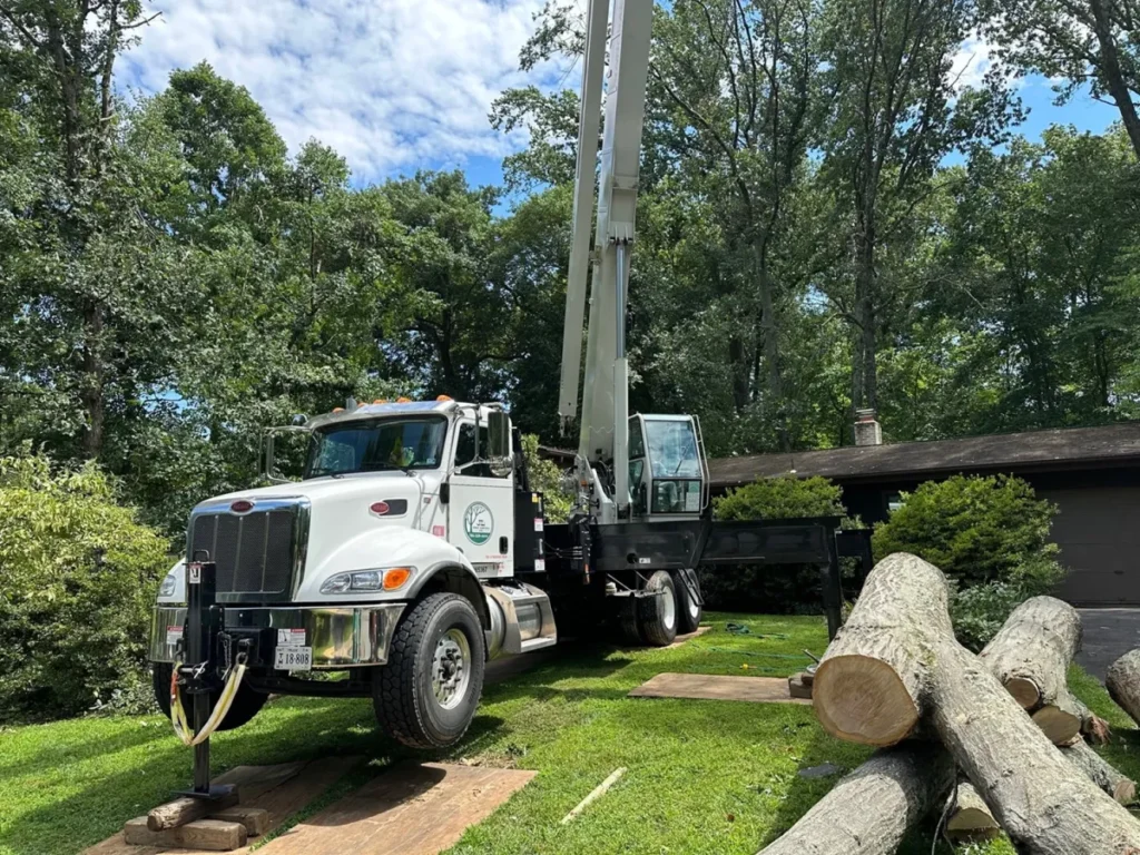 crane service