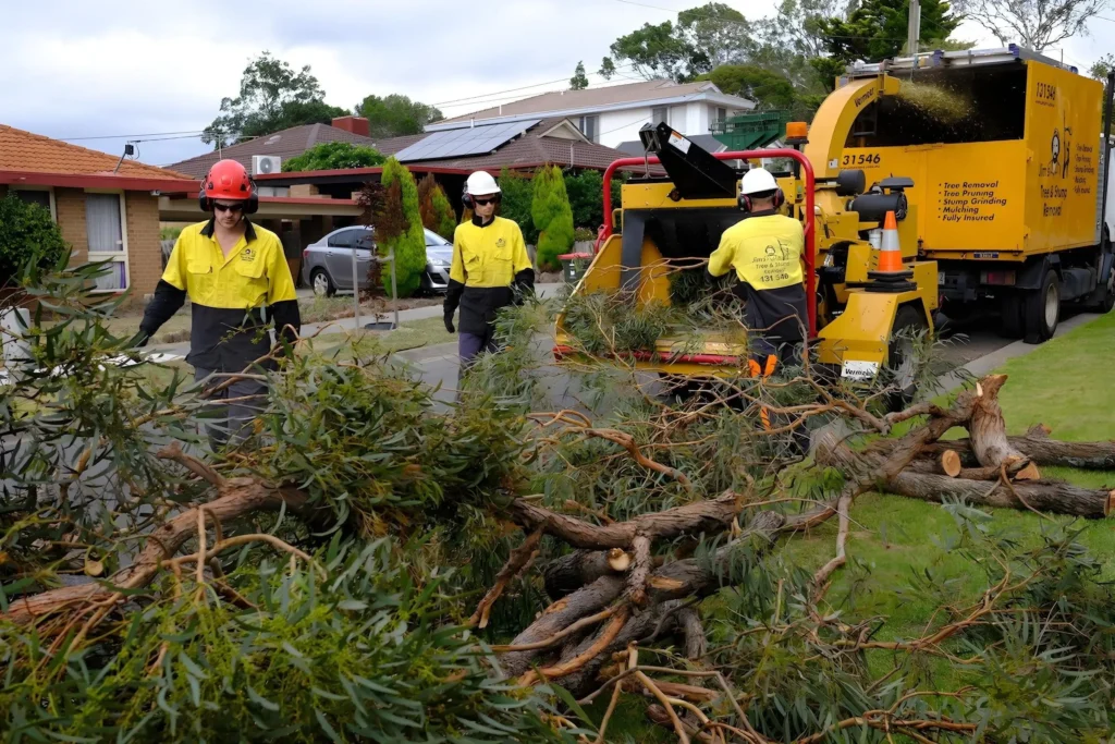 tree service site cleanup